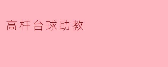 高杆台球助教