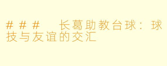 ### 长葛助教台球：球技与友谊的交汇