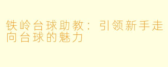 铁岭台球助教：引领新手走向台球的魅力