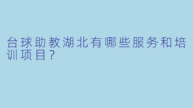 台球助教湖北有哪些服务和培训项目？  