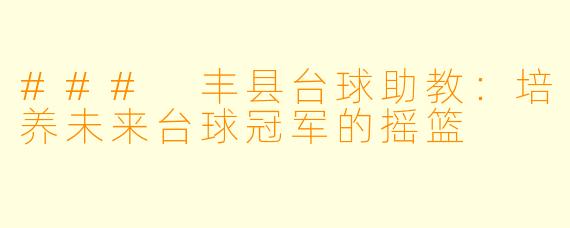 ### 丰县台球助教：培养未来台球冠军的摇篮