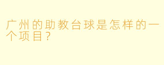 广州的助教台球是怎样的一个项目？  