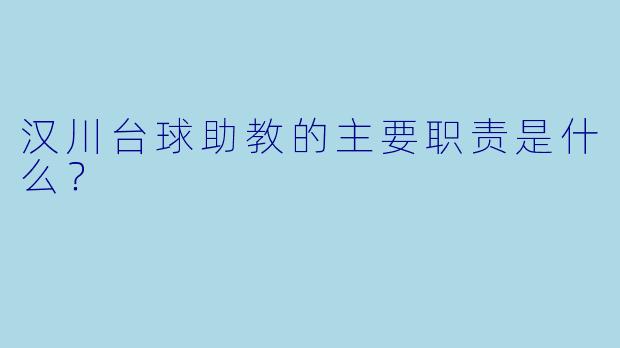 汉川台球助教的主要职责是什么？