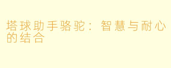 塔球助手骆驼：智慧与耐心的结合