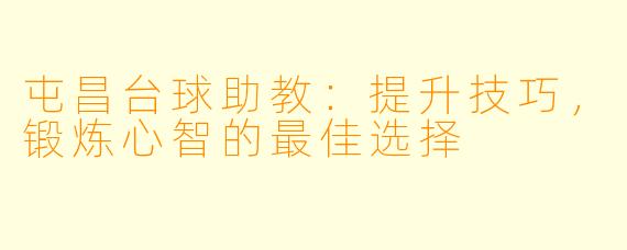 屯昌台球助教：提升技巧，锻炼心智的最佳选择