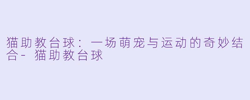 猫助教台球：一场萌宠与运动的奇妙结合-猫助教台球