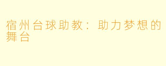 宿州台球助教:助力梦想的舞台