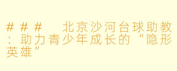 ### 北京沙河台球助教：助力青少年成长的“隐形英雄”