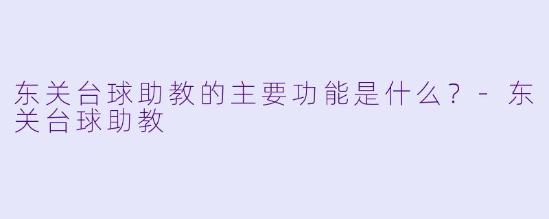 东关台球助教的主要功能是什么？