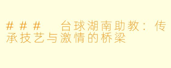 ### 台球湖南助教：传承技艺与激情的桥梁