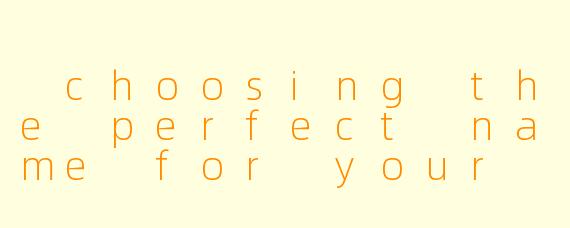  choosing the perfect name for your billiards tutor profile
