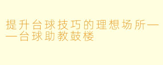提升台球技巧的理想场所——台球助教鼓楼