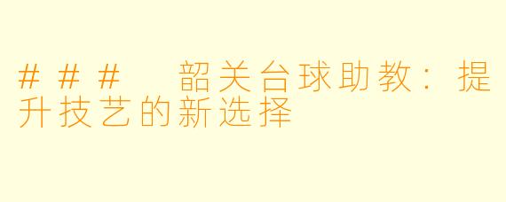 ### 韶关台球助教：提升技艺的新选择