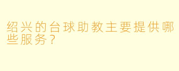 绍兴的台球助教主要提供哪些服务？