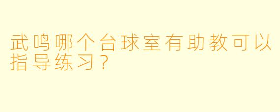 武鸣哪个台球室有助教可以指导练习？