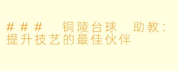 ### 铜陵台球 助教:提升技艺的最佳伙伴