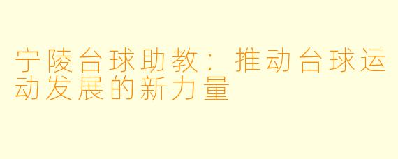 宁陵台球助教:推动台球运动发展的新力量