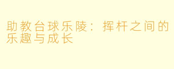 助教台球乐陵：挥杆之间的乐趣与成长