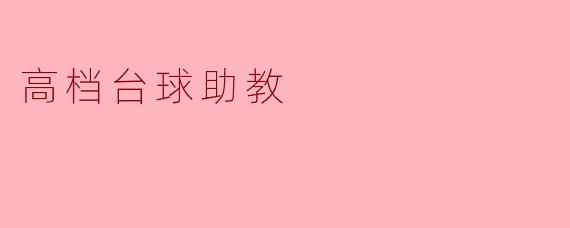 高档台球助教