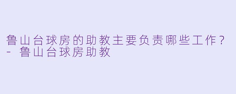 鲁山台球房的助教主要负责哪些工作？