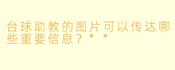 台球助教的图片可以传达哪些重要信息？**