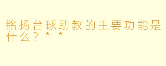 铭扬台球助教的主要功能是什么？**