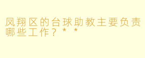 凤翔区的台球助教主要负责哪些工作?**