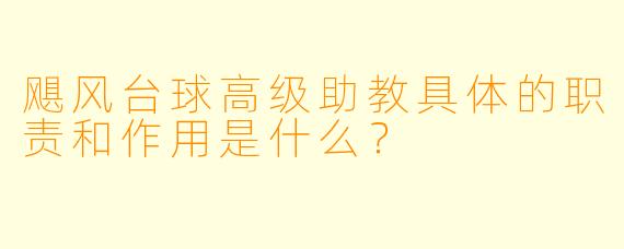 飓风台球高级助教具体的职责和作用是什么?