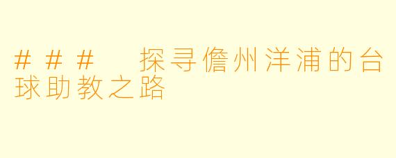 ### 探寻儋州洋浦的台球助教之路