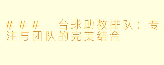 ### 台球助教排队：专注与团队的完美结合