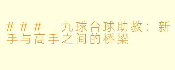 ### 九球台球助教：新手与高手之间的桥梁