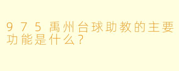975禹州台球助教的主要功能是什么？