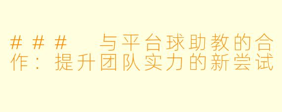 ### 与平台球助教的合作：提升团队实力的新尝试