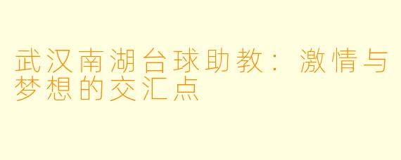 武汉南湖台球助教：激情与梦想的交汇点