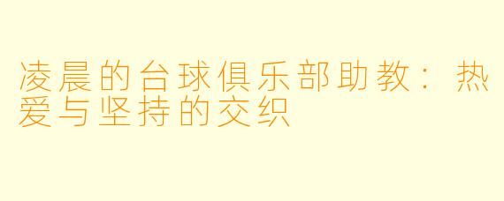 凌晨的台球俱乐部助教:热爱与坚持的交织