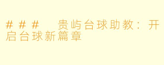 ### 贵屿台球助教：开启台球新篇章
