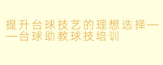 提升台球技艺的理想选择——台球助教球技培训