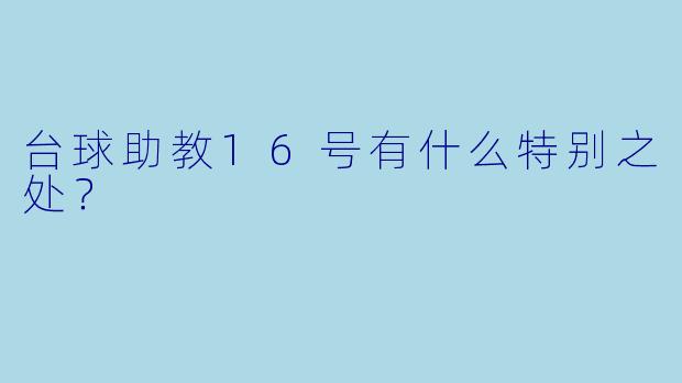 台球助教16号有什么特别之处？