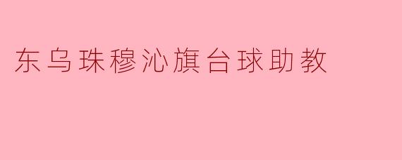 东乌珠穆沁旗台球助教