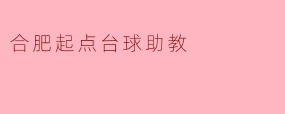 合肥起点台球助教