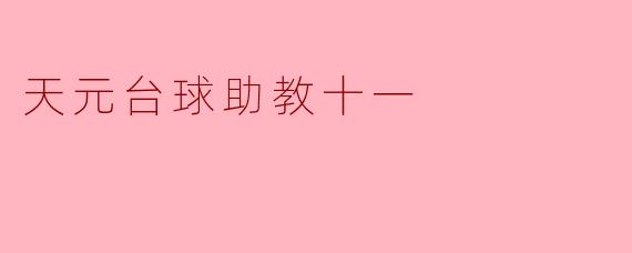 天元台球助教十一的主要功能和特点是什么?****
