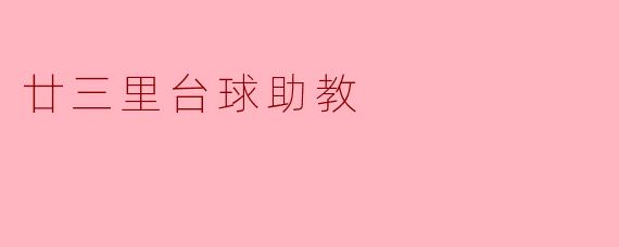 廿三里台球助教的主要功能是什么？****