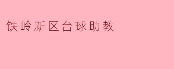 铁岭新区台球助教