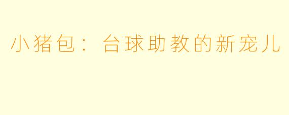 小猪包：台球助教的新宠儿