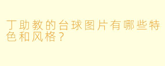 丁助教的台球图片有哪些特色和风格?