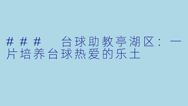 ### 台球助教亭湖区：一片培养台球热爱的乐土