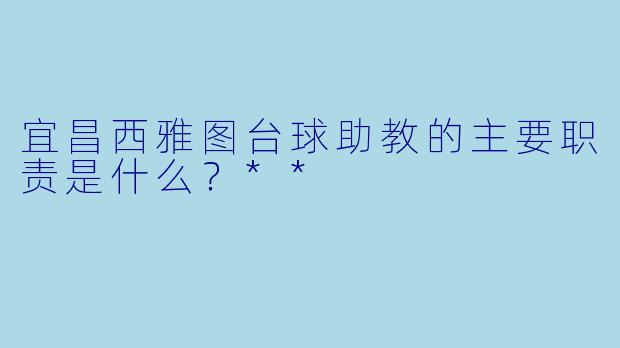 宜昌西雅图台球助教的主要职责是什么?**
