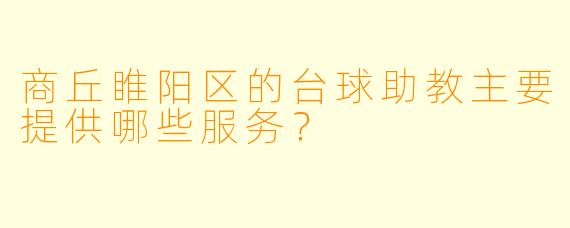 商丘睢阳区的台球助教主要提供哪些服务？