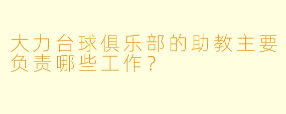 大力台球俱乐部的助教主要负责哪些工作?