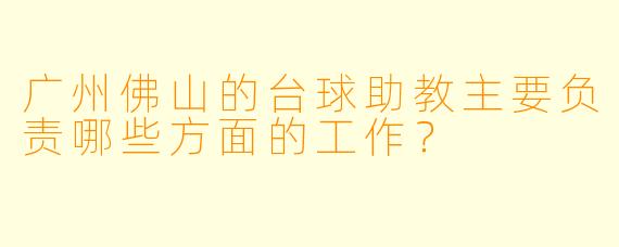 广州佛山的台球助教主要负责哪些方面的工作？
